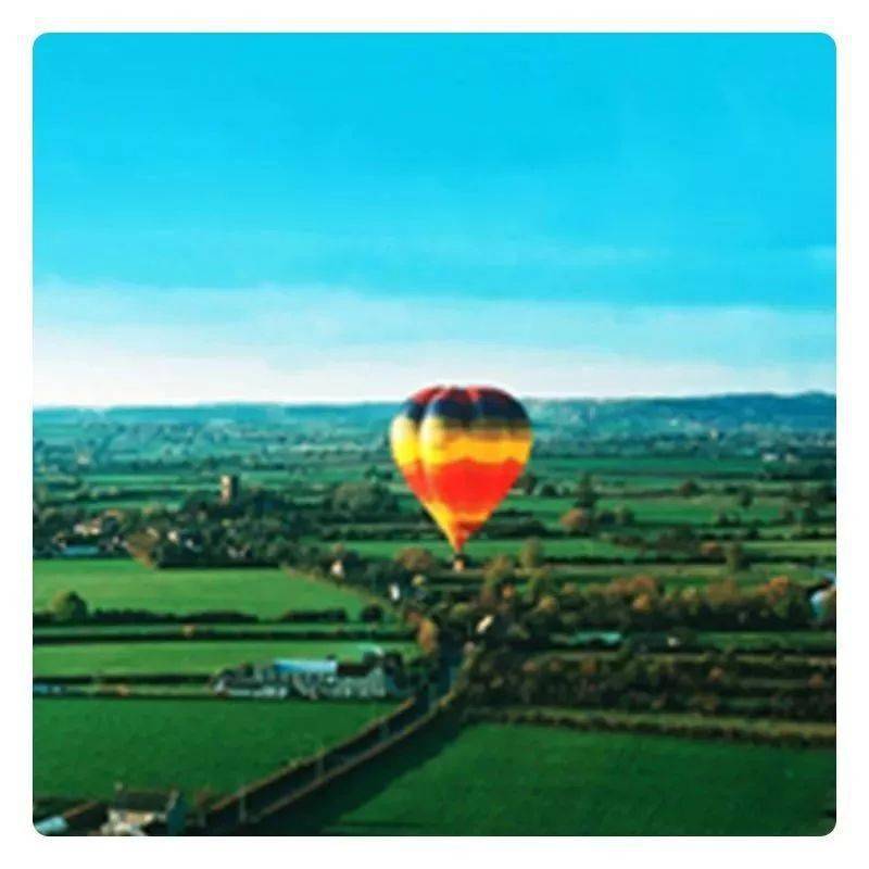 藤匠人富硒莓茶(藤茶视频)-硒宝网