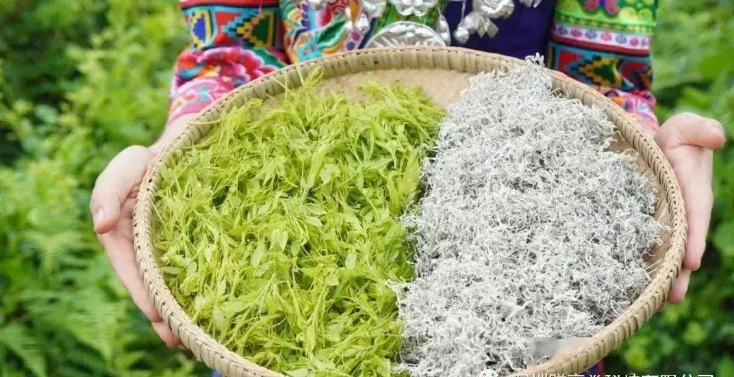 藤匠人富硒莓茶(藤茶视频)-硒宝网