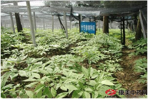 硒谷科技的产品（中科硒谷科技）-硒宝网