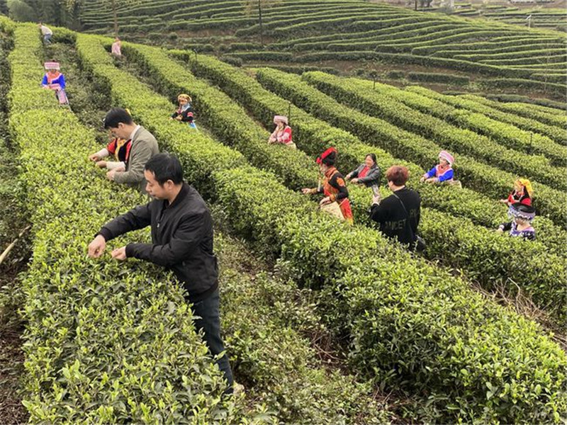 富硒水果第一名(水果富硒标准)-硒宝网