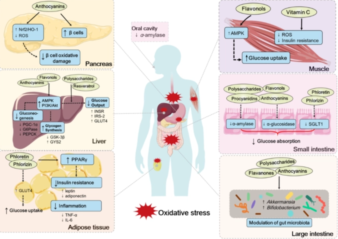 硒产品应用指南（应用指南产品硒含量高吗）-硒宝网