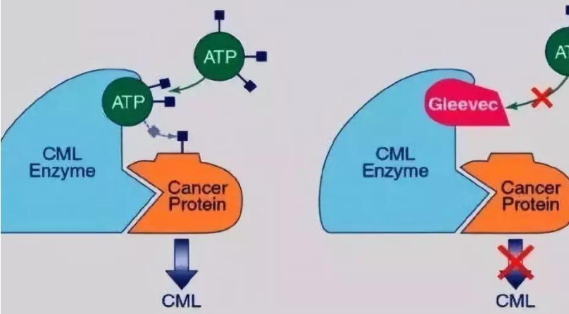 硒产品应用指南（应用指南产品硒含量高吗）-硒宝网