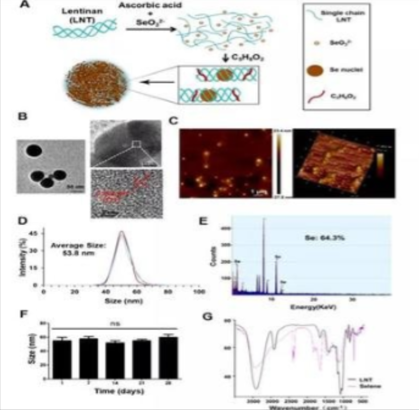 硒产品应用指南（应用指南产品硒含量高吗）-硒宝网