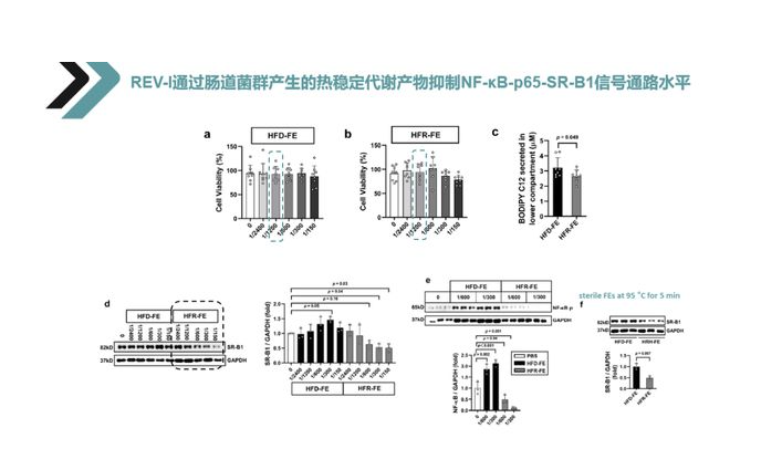 硒产品应用指南（应用指南产品硒含量高吗）-硒宝网
