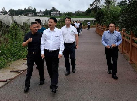 恩施硒产品文案(恩施硒文化推广中心)-硒宝网