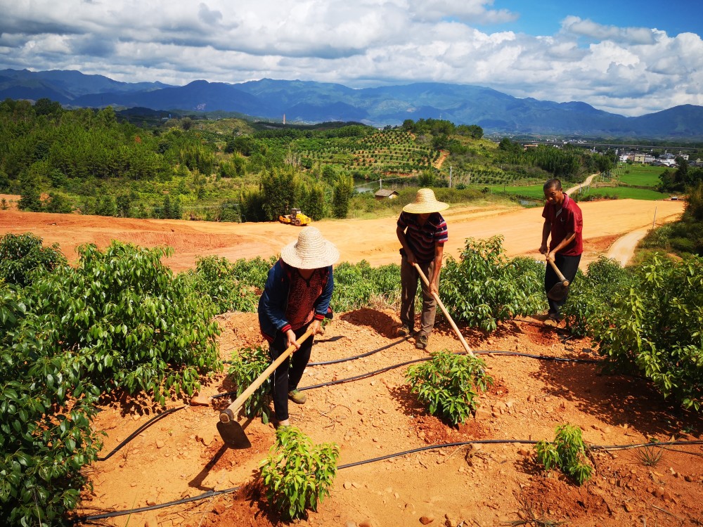 富硒特产水果店(富硒果蔬)-硒宝网