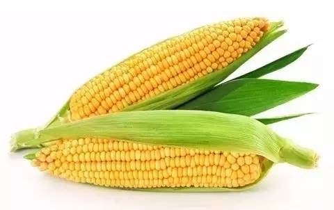 硒谷科技的产品（科技谷产品硒含量多少）-硒宝网