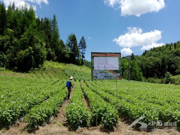 中科院的硒产品(中科院硒保健食品)-硒宝网