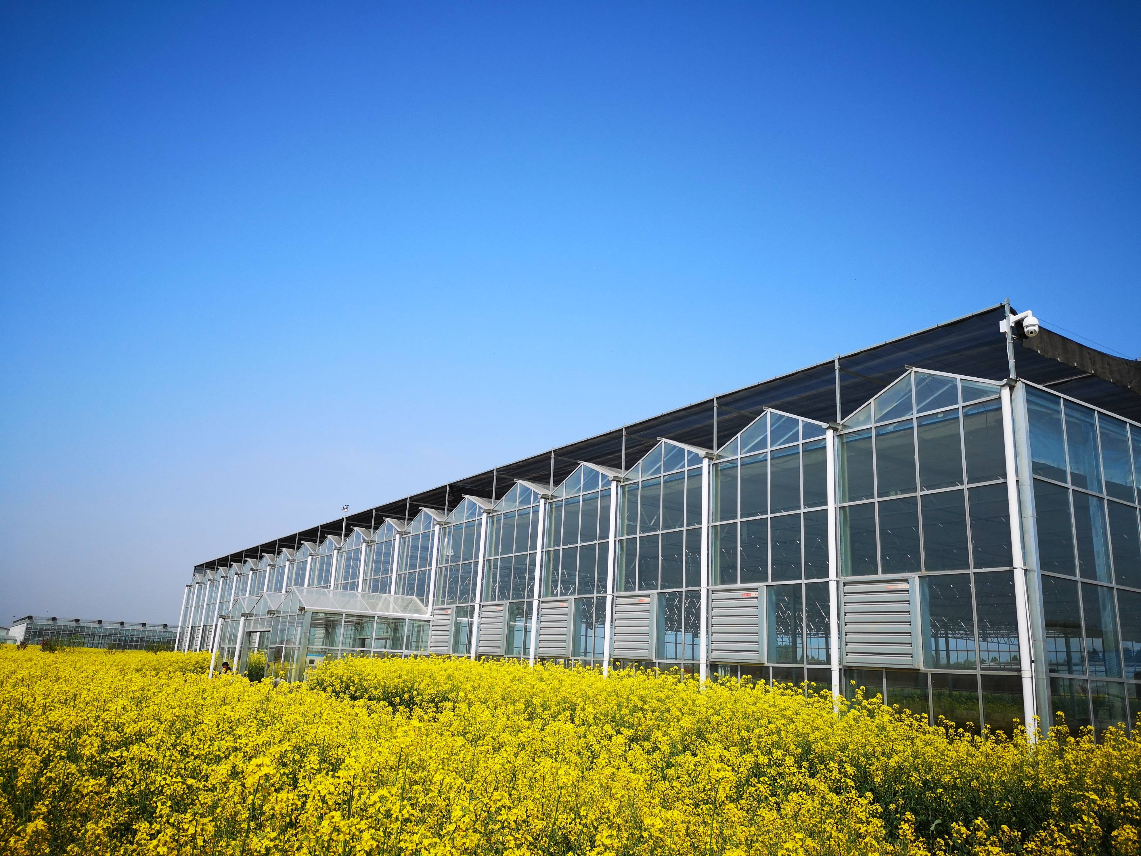 硒与农产品品质(农品质产品硒含量高吗)-硒宝网