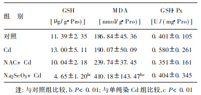 生物有机硒产品(生物机产品硒有什么作用)-硒宝网