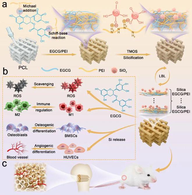 纳米活性硒产品（纳米活性产品硒含量）-硒宝网
