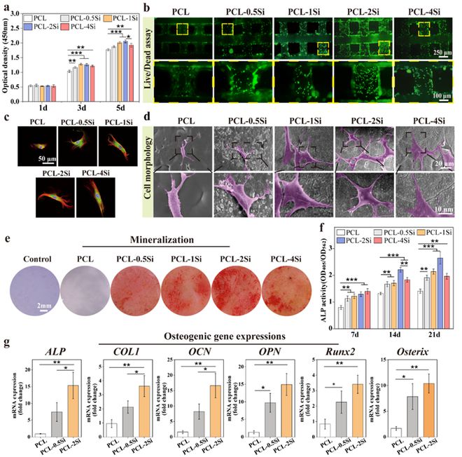 纳米活性硒产品（纳米活性产品硒含量）-硒宝网