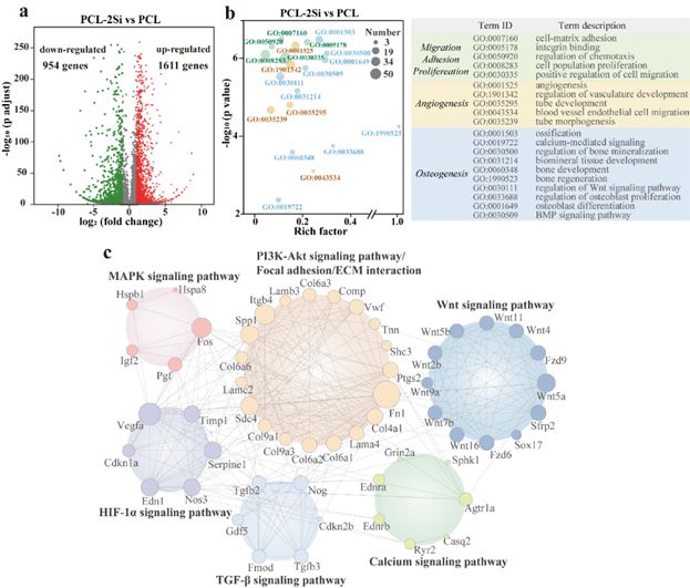 纳米活性硒产品（纳米活性产品硒含量）-硒宝网