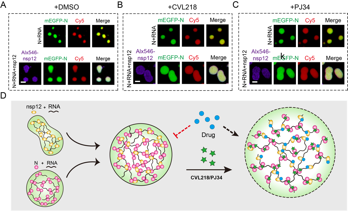 国外硒产品状况（国外状况产品硒含量高吗）-硒宝网