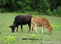 恩施最富硒产品(湖北恩施富硒产品)-硒宝网