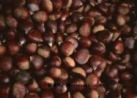 恩施最富硒产品(湖北恩施富硒产品)-硒宝网