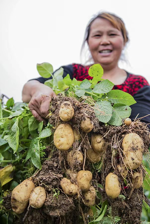恩施硒产品现状（湖北恩施生产的硒产品怎么样）-硒宝网