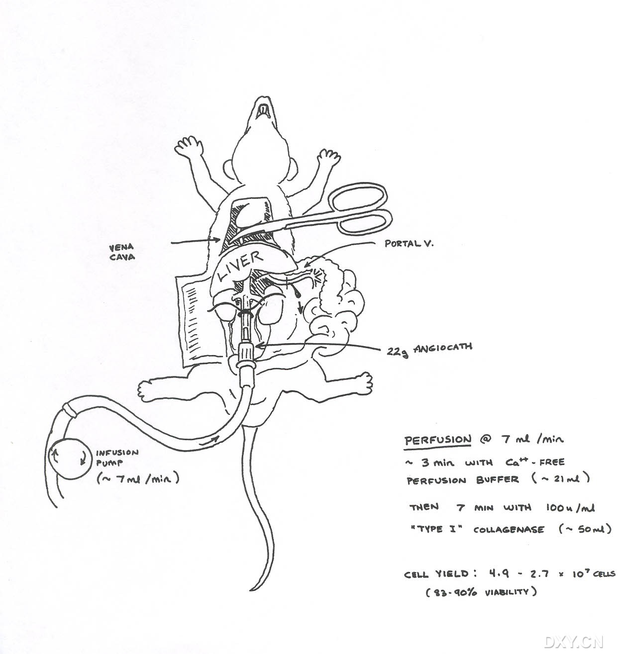 硒产品抗癌用量(硒抗癌症)-硒宝网