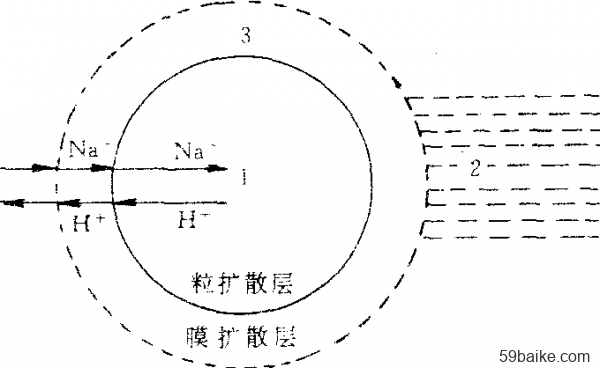 亚硒酸钠 产品(亚酸硒纳)-硒宝网