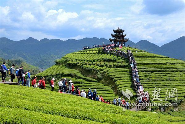 恩施硒产品直播(湖北恩施硒产品哪个好)-硒宝网