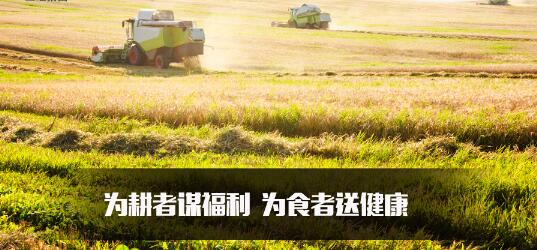 硒产品公司认证(生产硒元素的公司)-硒宝网