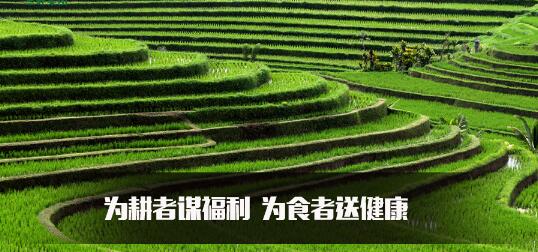 硒产品公司认证(生产硒元素的公司)-硒宝网