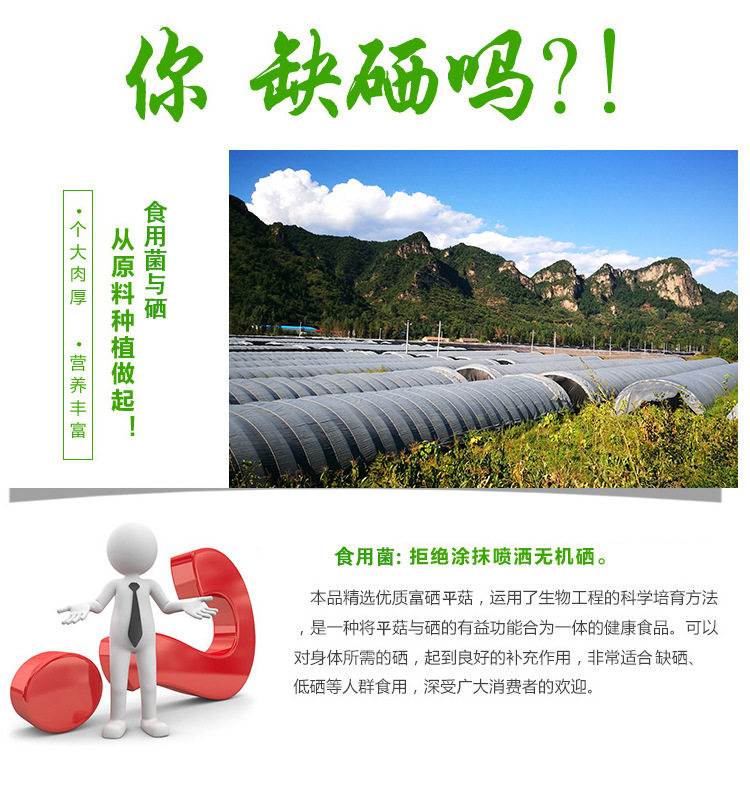 恩施产品硒含量(恩施含硒量最高的地方)-硒宝网