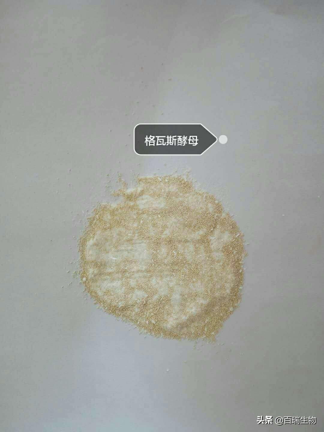 酵母硒产品介绍(硒酵母成分)-硒宝网