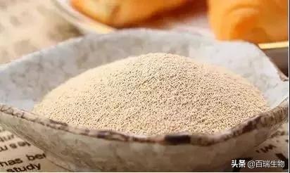 酵母硒产品介绍(硒酵母成分)-硒宝网