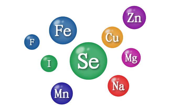 关于硒产品课件（补硒产品）-硒宝网