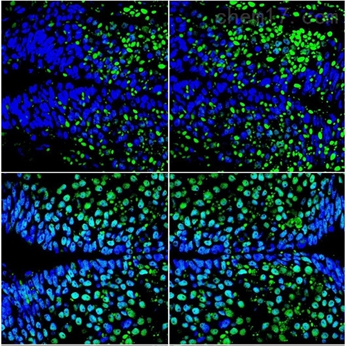 硒产品怎么检测(硒的检测方法有哪些)-硒宝网