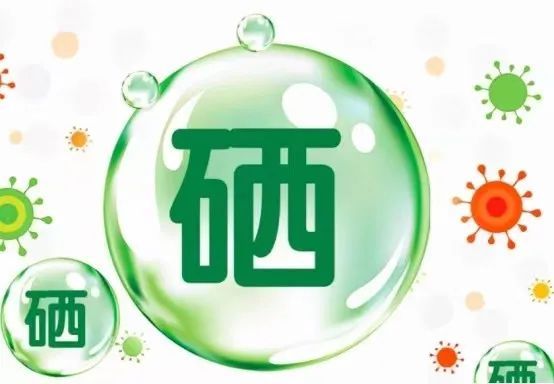 恩施硒蛋白产品(湖北恩施硒蛋白多少钱一瓶)-硒宝网