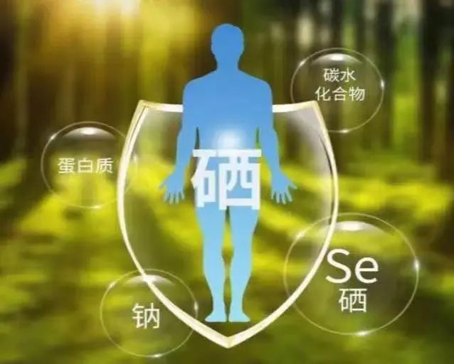 恩施硒蛋白产品(湖北恩施硒蛋白多少钱一瓶)-硒宝网