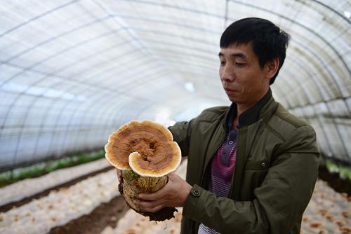 恩施硒产品传销(恩施富硒产品是传销吗)-硒宝网