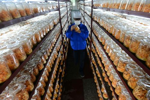 恩施硒产品传销(恩施富硒产品是传销吗)-硒宝网