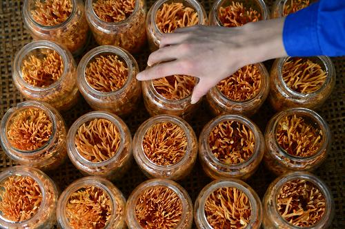 恩施硒产品传销(恩施富硒产品是传销吗)-硒宝网