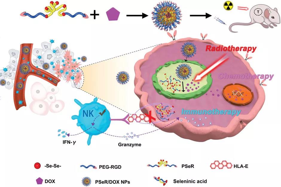 硒产品抗癌防癌（抗癌硒片哪种最好）-硒宝网