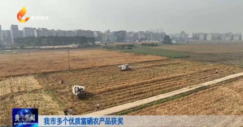 硒功能农业产品（功能性农业富硒类产品）-硒宝网