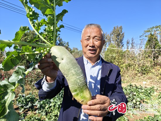 硒肥有哪些产品(硒肥主要成分)-硒宝网