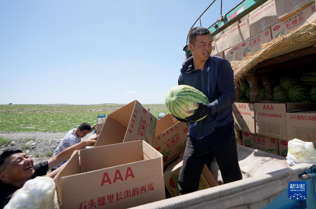 硒砂瓜产品定位（硒砂瓜产业调查报告）-硒宝网