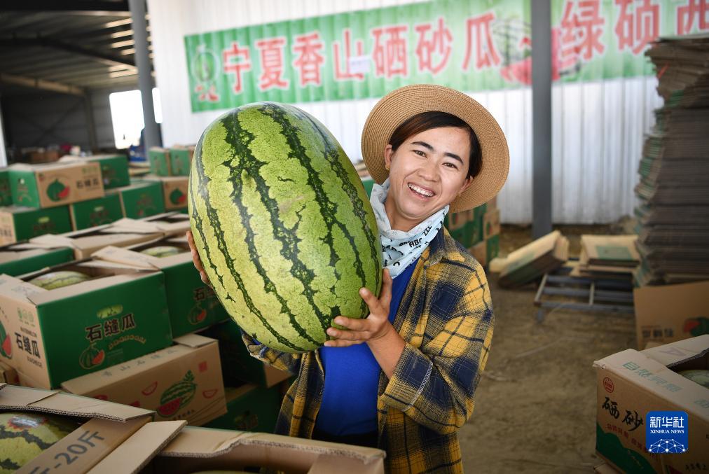 硒砂瓜产品定位（硒砂瓜产业调查报告）-硒宝网