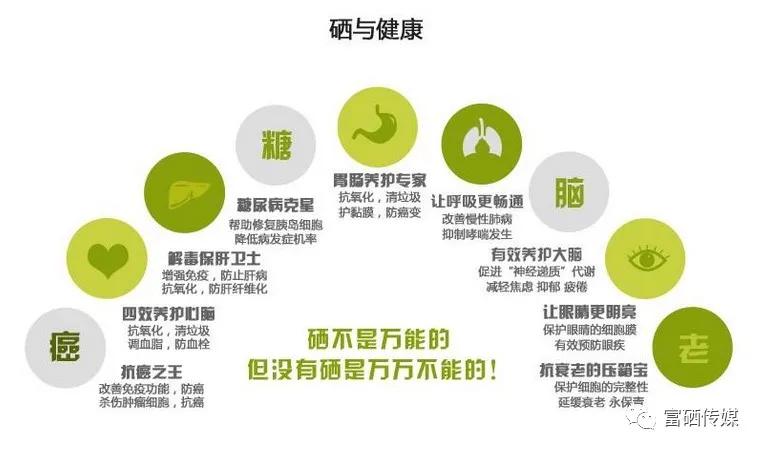 盛硒源产品癌症(盛硒源什么治疗)-硒宝网