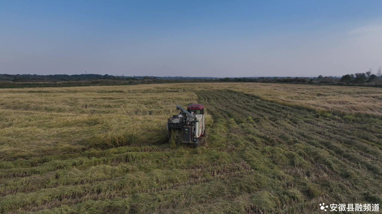 硒 农产品安全（农产品硒含量标准）-硒宝网