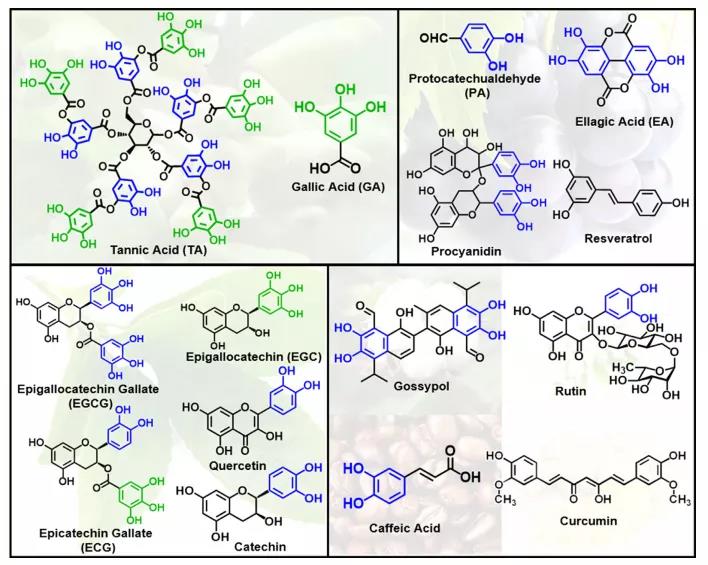 海藻硒啥产品好(海藻硒有几个品牌)-硒宝网