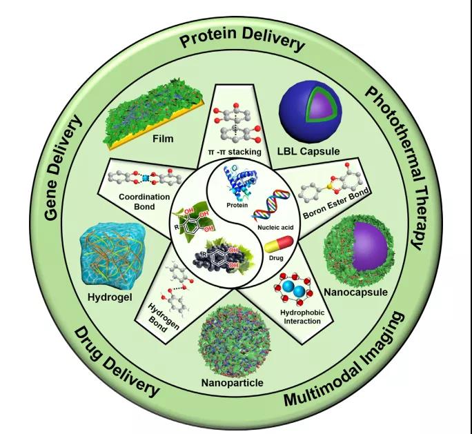 海藻硒啥产品好(海藻硒有几个品牌)-硒宝网