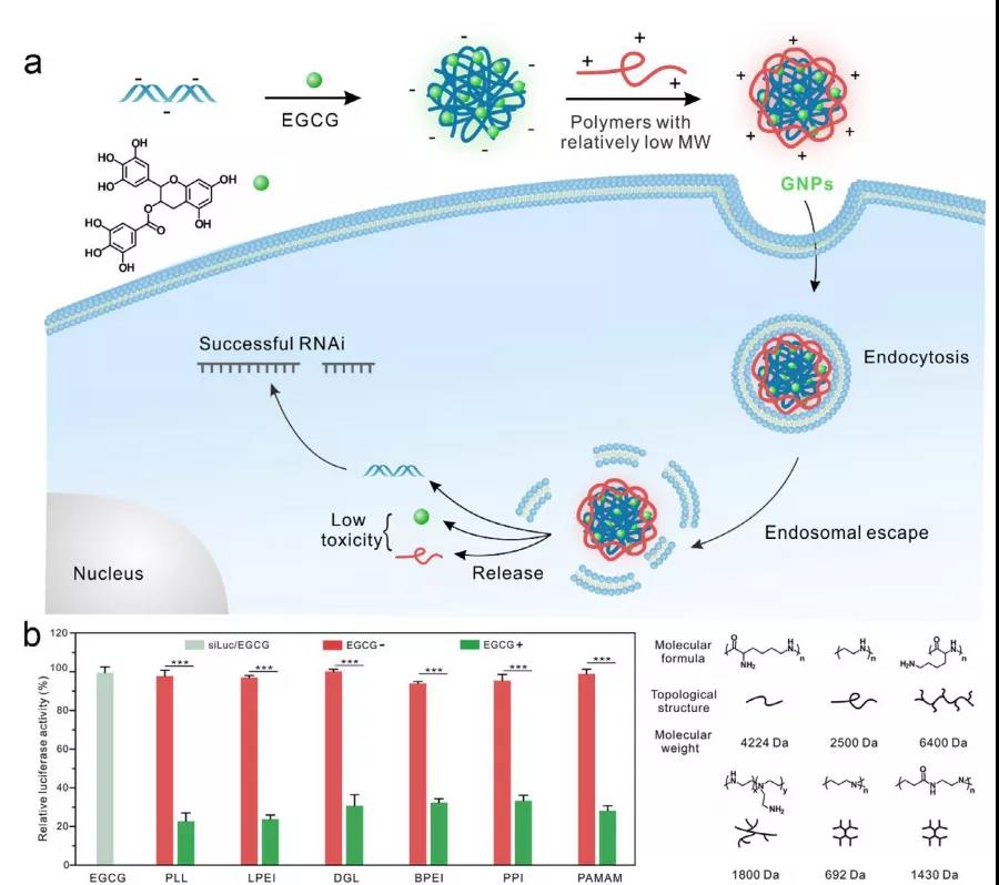 海藻硒啥产品好(海藻硒有几个品牌)-硒宝网