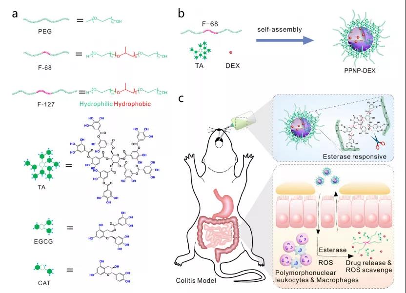 海藻硒啥产品好(海藻硒有几个品牌)-硒宝网
