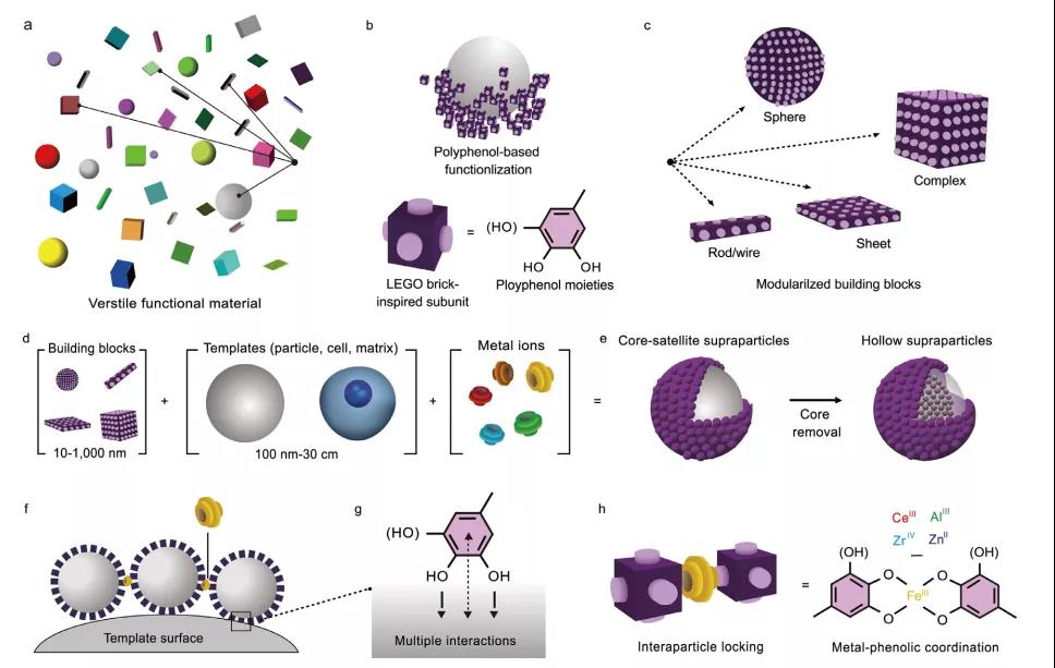 海藻硒啥产品好(海藻硒有几个品牌)-硒宝网