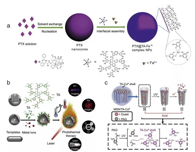海藻硒啥产品好(海藻硒有几个品牌)-硒宝网