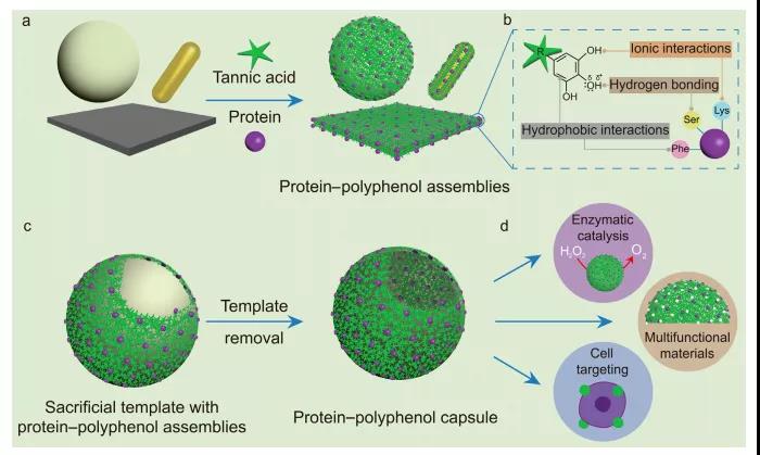 海藻硒啥产品好(海藻硒有几个品牌)-硒宝网